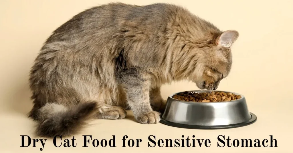 Dry Cat Food for Sensitive Stomach